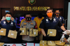 Ciduk Pengedar Ganja,...