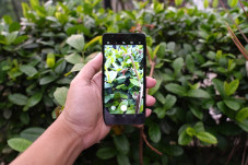 6 Inspirasi Foto Seru...