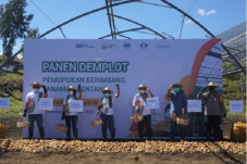 Sembalun NTB Bakal Jadi...