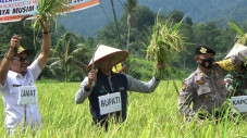 Bupati Aceh Selatan...