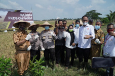 20 Ha Hutan Belantara...