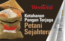 Ketahanan Pangan Terjaga...