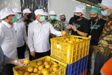 Menkop UKM Perkuat Kemitraan...