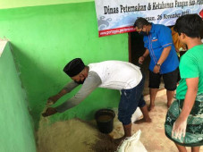 Manfaatkan Silase, Santri...