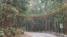 India Bangun Jembatan...