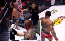 MMA Gempar!! Telinga...