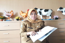 Ratusan Unggas Mati...