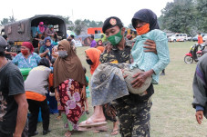 Ladang Salak, Padi,...