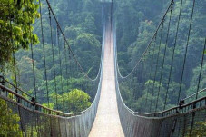 Dibayarin APBN, Jembatan...