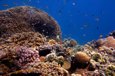 We Love Bali, Menikmati...