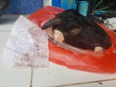 Ketua KIPP Diteror,...