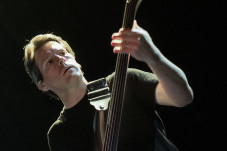 Bassis Cynic Mangkat,...