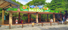 Bali Zoo Mulai Ramai,...