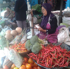 Pedasnya Harga Cabai...