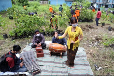 Ritual Tanam Sambut...