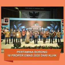 Borong 16 PROPER Emas...
