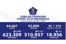 Kesembuhan Covid-19...