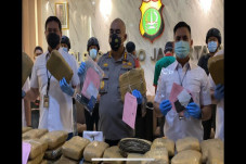 173 Kg Ganja untuk Rayakan...
