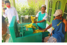 Petani Tembakau di Kabupaten...