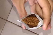 Polisi Gagalkan Peredaran...