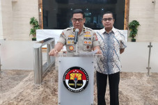 Jualan Bebek, Upik Lawanga...