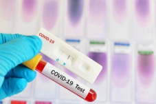 Mau Rapid Test Antigen?...