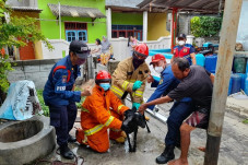 Begitu Berharganya Nyawa...