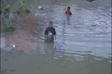 Ribuan Ikan Mabuk di...