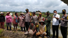 Pasca Banjir Rob, Puluhan...