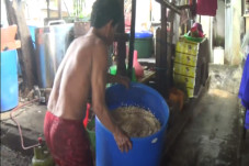 Harga Kedelai Melejit...
