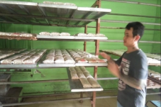 Dampak Pandemi COVID-19,...