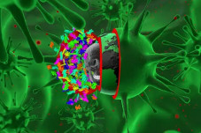 Selain Covid-19, Disease...