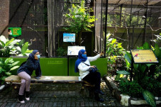 Pandemi COVID-19, Kunjungan...
