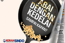 Harga Kedelai Naik,...