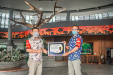 Royal Safari Garden...