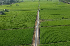 Curah Hujan Tinggi,...