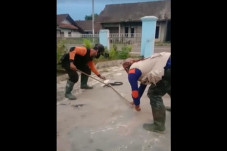 Teror Ular Kobra Resahkan...