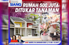 iNews Siang Live di...