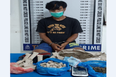 113 Paket Ganja Diamankan...