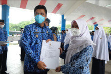 203 CPNS di Lingkup...