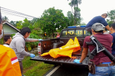 Tanggamus Gempar, Pemuda...