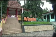 Pasuruan Gempar, Beredar...