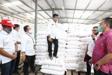 Alokasi Pupuk Subsidi...