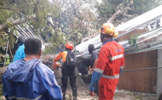 7 Rumah Tertimpa Pohon...
