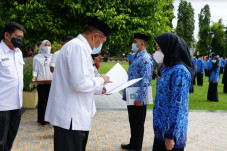 241 CPNS Formasi Tahun...