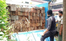 2 Truk Pengangkut Kayu...