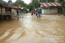 Penyebab Banjir Kalimantan...
