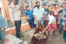 Tulang Belulang Manusia...