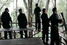 Buru 2 Harimau yang...