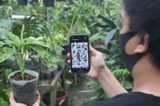 Era Baru Bisnis: Kolaborasi